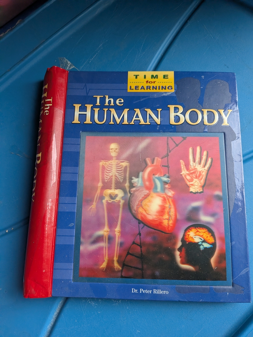 The Human Body Book
